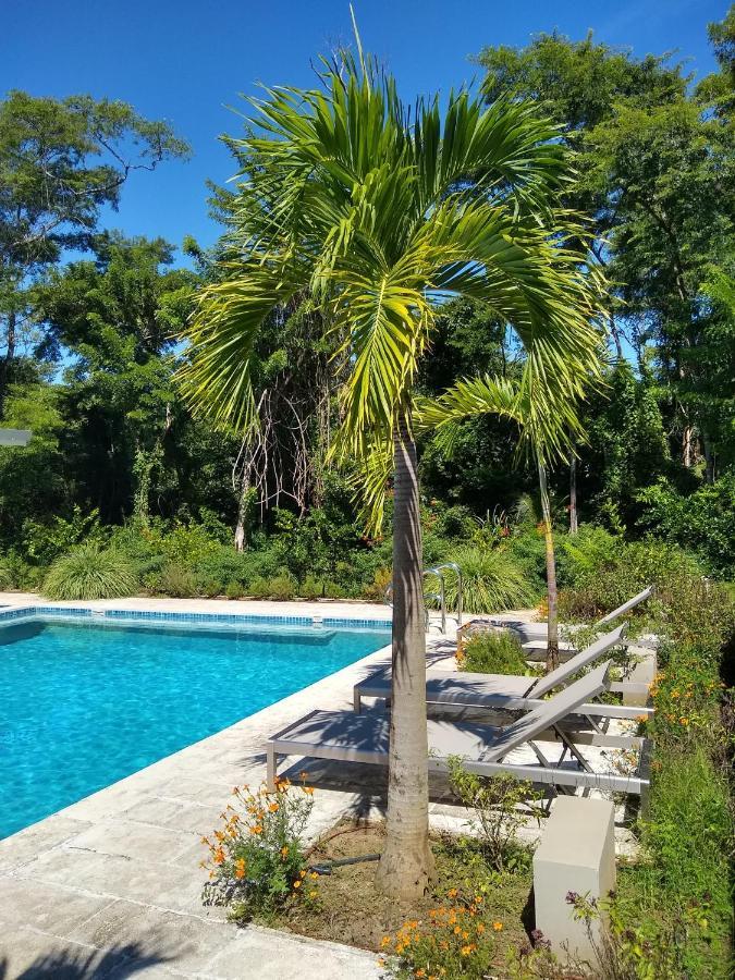 Palm Beach Inn Playa Grande Luaran gambar